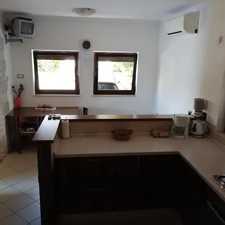 Viktor And 게스트하우스