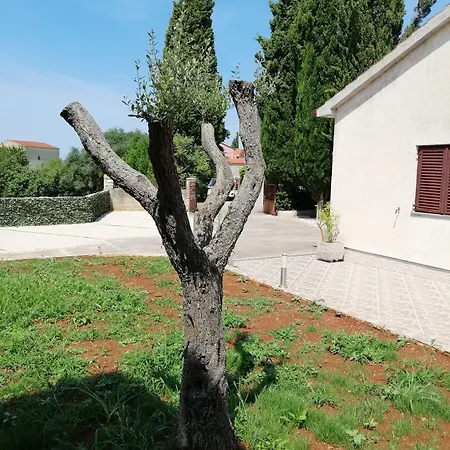 Viktor And 게스트하우스