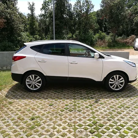 Гостевой дом Viktor And