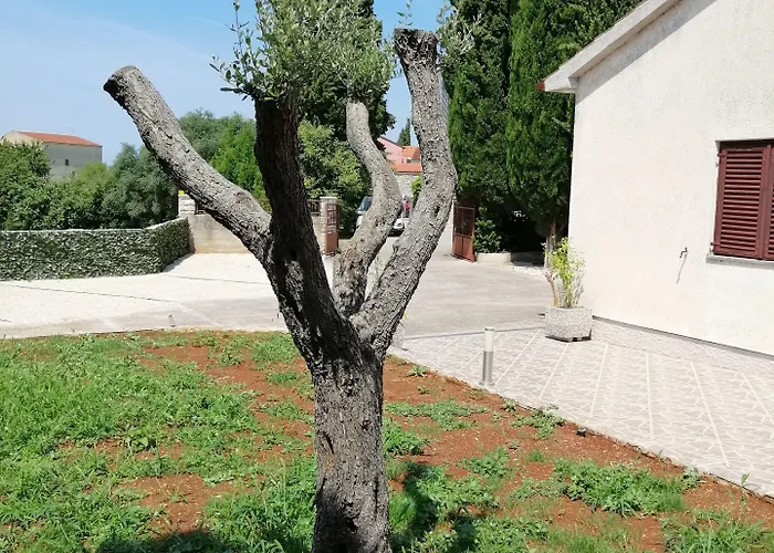 Viktor And Gostinjska kuća