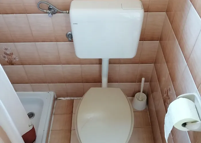 Gostinjska kuća Viktor And